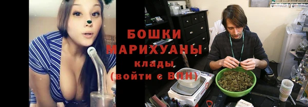 индика Заволжск