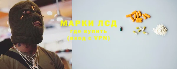 индика Заволжск